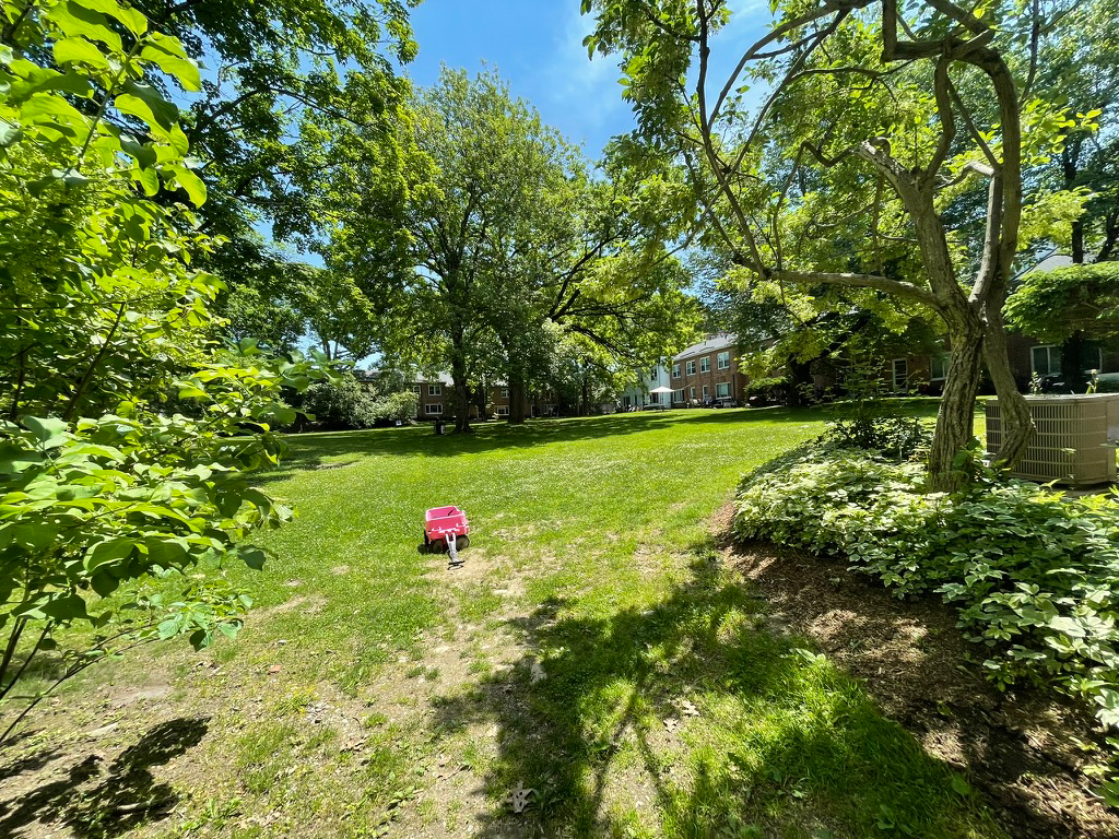 Cover for Two weeks in Boston, Cambridge, Brookline