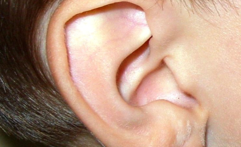 Smooth ear example 2